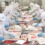 Tuyển 15 lao động nữ XKLĐ Nhật Bản nghề chế biến thực phẩm