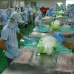 Tuyển nam, nữ làm thực phẩm tại Đài Loan