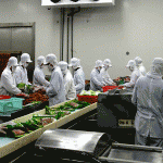 Tuyển 35 nữ chế biến thực phẩm tại Gunma – Nhật Bản