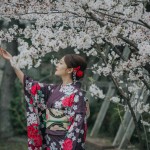 Phấn đấu du học Nhật Bản để thỏa ước mơ mặc váy dạo ngắm hoa anh đào