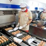 Tuyển 10 lao động xuất khẩu Nhật Bản phân loại và đóng gói trứng
