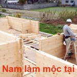 Tuyển 20 Nam làm mộc lắp ghép nhà gỗ tại Nhật Bản lương cao