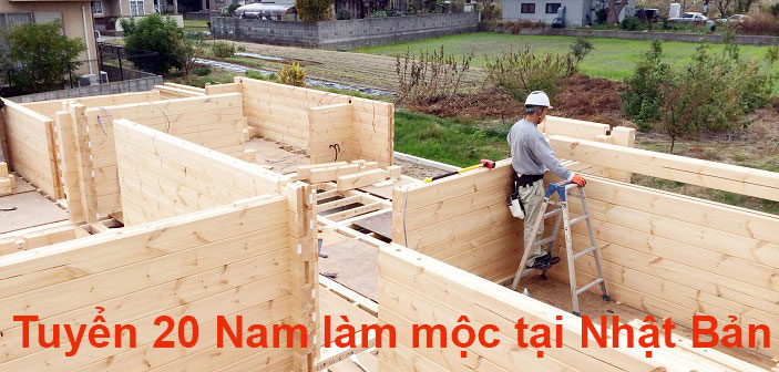 Tuyển 12 Nam làm mộc lắp ghép nhà gỗ tại Nhật Bản lương cao