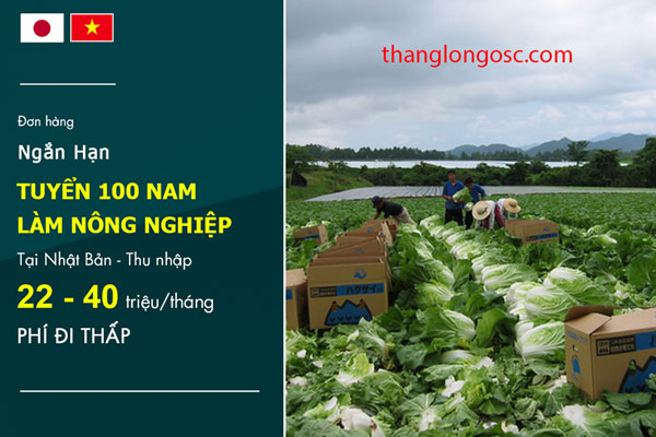 don-hang-di-nhat-1-nam-lam-nong-nghiep-phi-thap