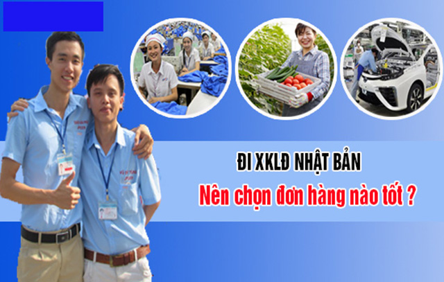 1-di-nhat-nen-chon-don-hang-nao-2021