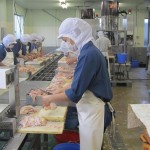 Cần 07 nữ đi xuất khẩu lao động chế biến thịt gà tại Iwate