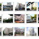 Các trường Nhật ngữ uy tín ở Chiba – Du học Nhật Bản