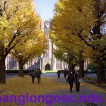 Các trường đại học ở khu vực Tokyo – Nhật Bản