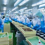 15 Nam xkld Nhật Bản chế biến thực phẩm 154.800 yên